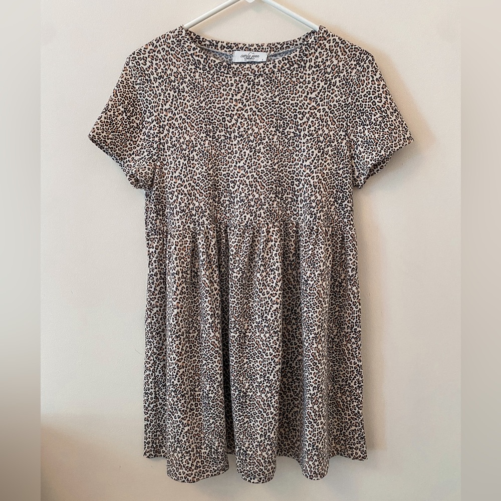 Carly Jean Los Angeles Leopard Print Dress